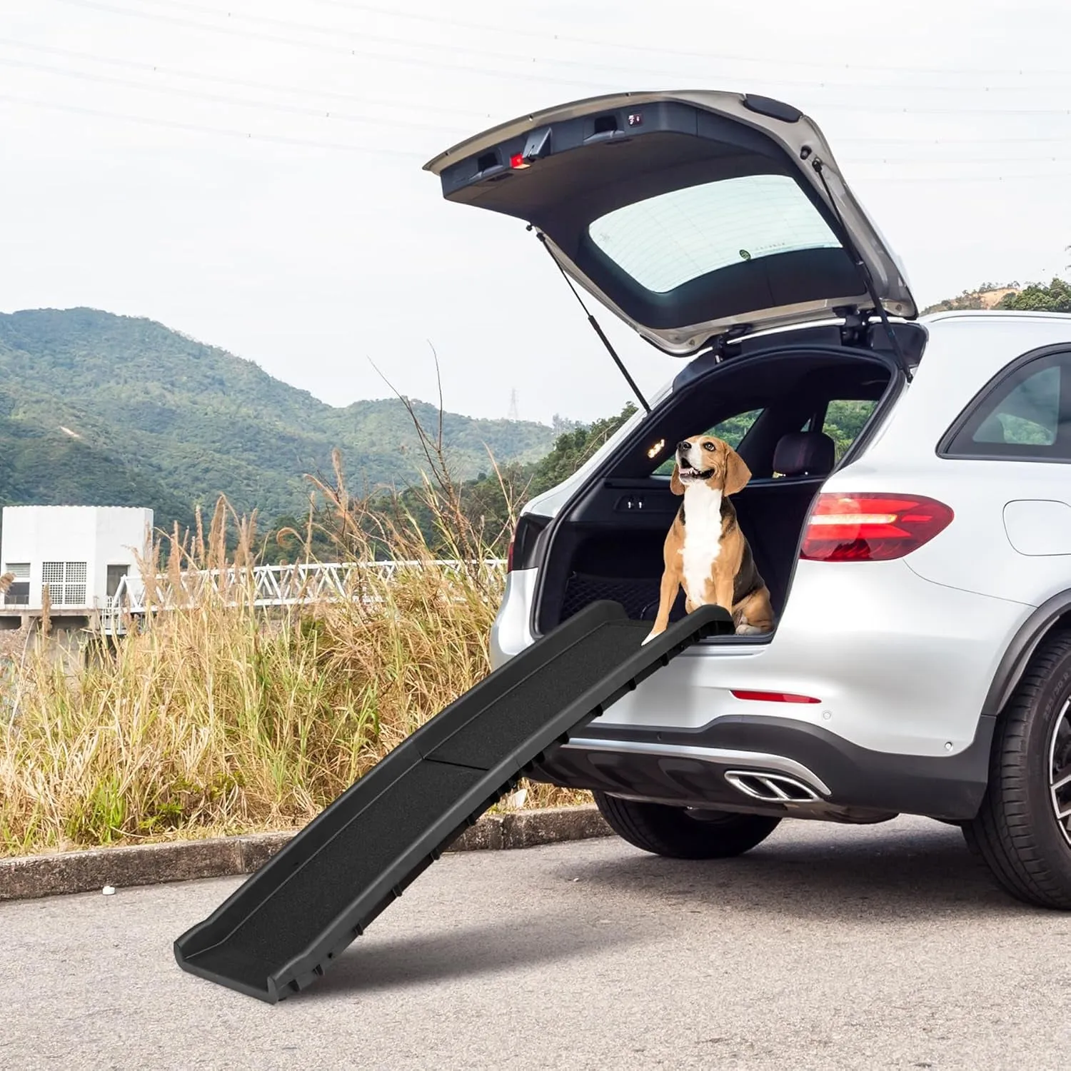 62 Inch Portable Folding Dog Ramp,Lightweight Outdoor Indoor Pet Ramp Stairs Step Ladder for Car, Truck, SUV, High Bed,Non-Slip Rug Surface Supports up to 154 Lb