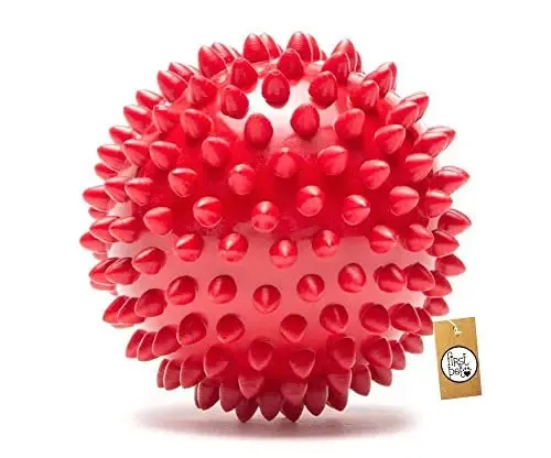 Adidog Dog Toy Combo (Spike Ball Toy   Rubber Bone Teething Toy   Triangle Toy), Pack of 3