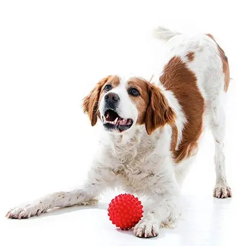 Adidog Dog Toy Combo (Spike Ball Toy   Rubber Bone Teething Toy   Triangle Toy), Pack of 3