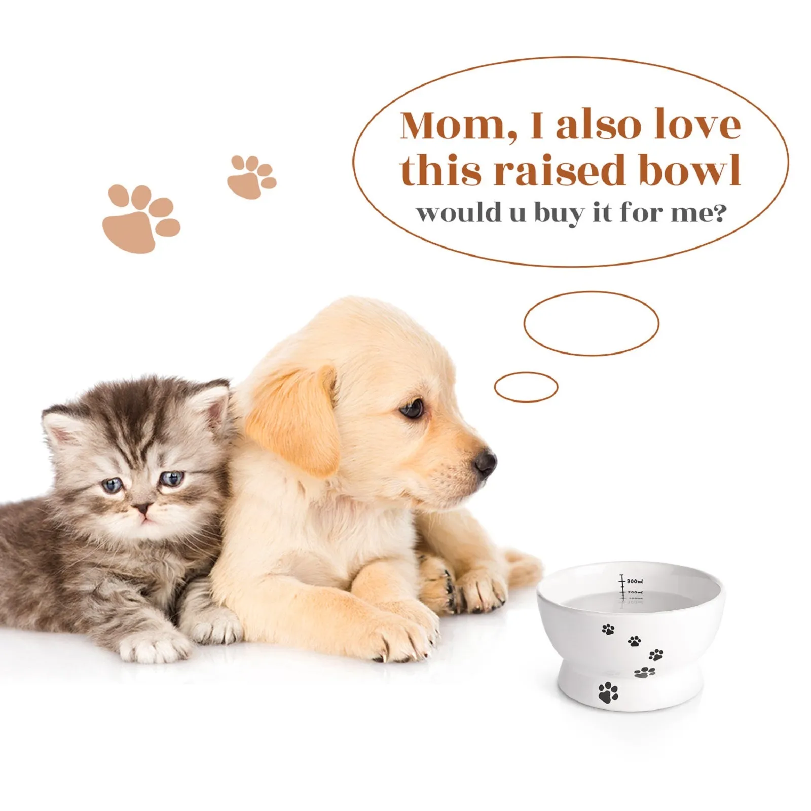 Cat Water Bowls