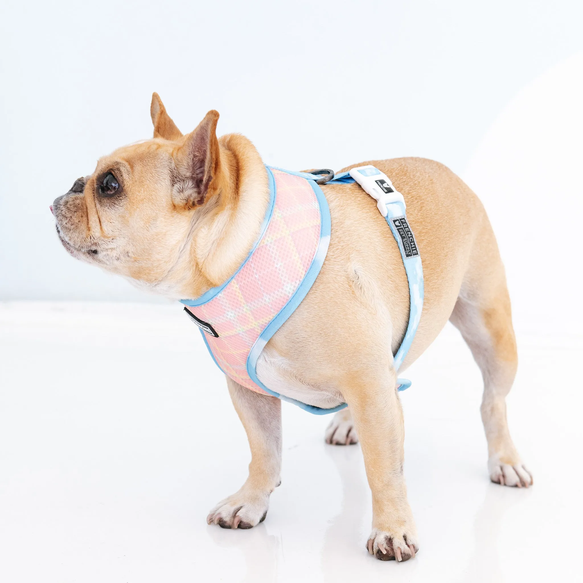 Frenchie Duo Reversible Harness - Secret Garden