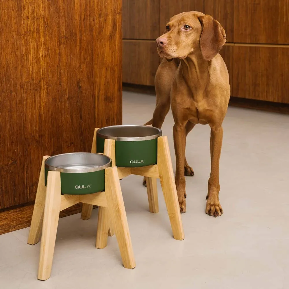 GULA | Double walled and insulated - Olive Green Dog Bowl