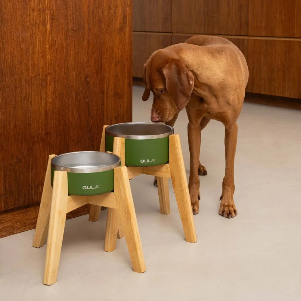 GULA | Double walled and insulated - Olive Green Dog Bowl