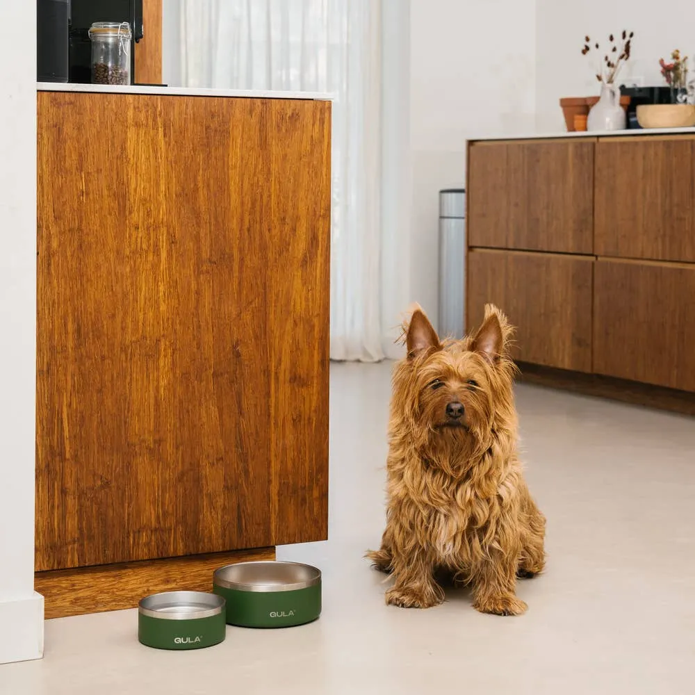 GULA | Double walled and insulated - Olive Green Dog Bowl