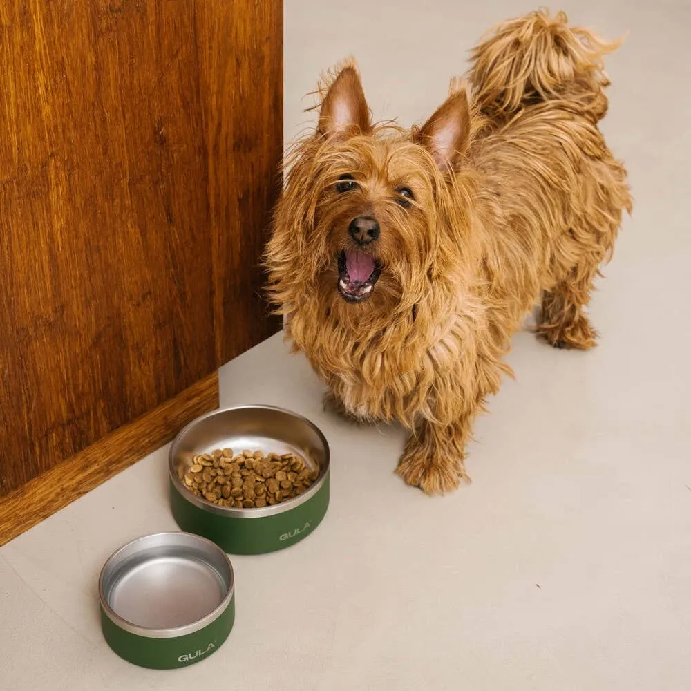 GULA | Double walled and insulated - Olive Green Dog Bowl