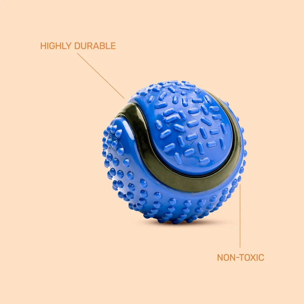 Kibbo Non Toxic Dotted Rubber Big Ball Chew Toy for Dogs and Cat (Blue)