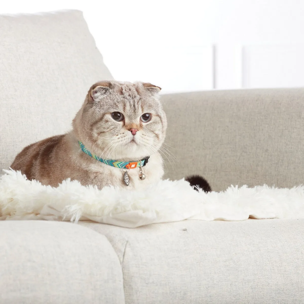 Max&Molly Smart ID Cat Collar Vintage