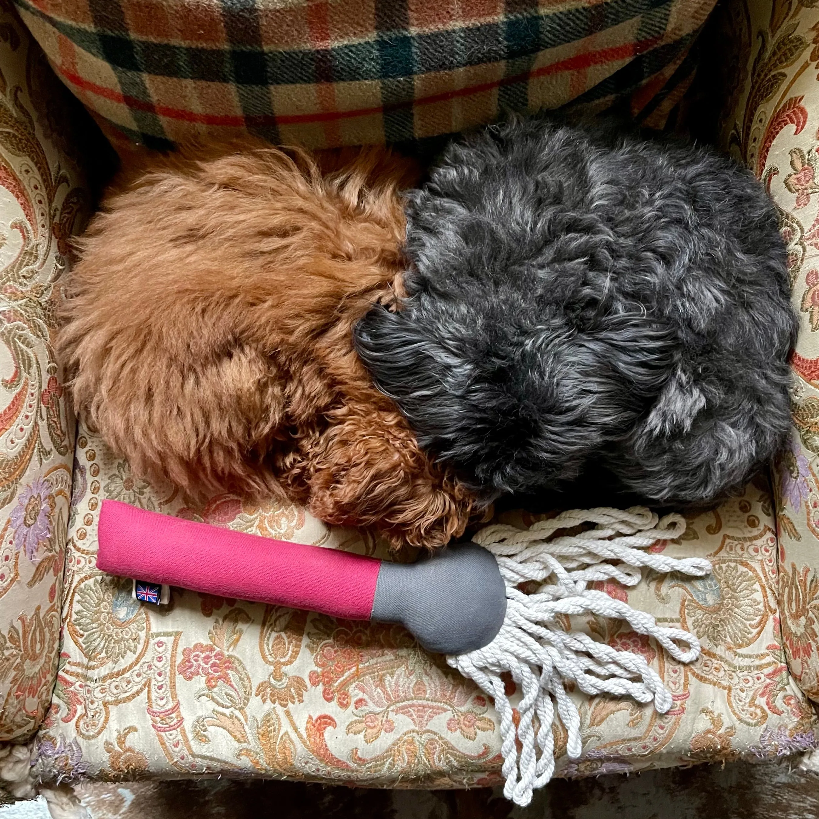 Mop Squeaky Plush Activity Dog Toy