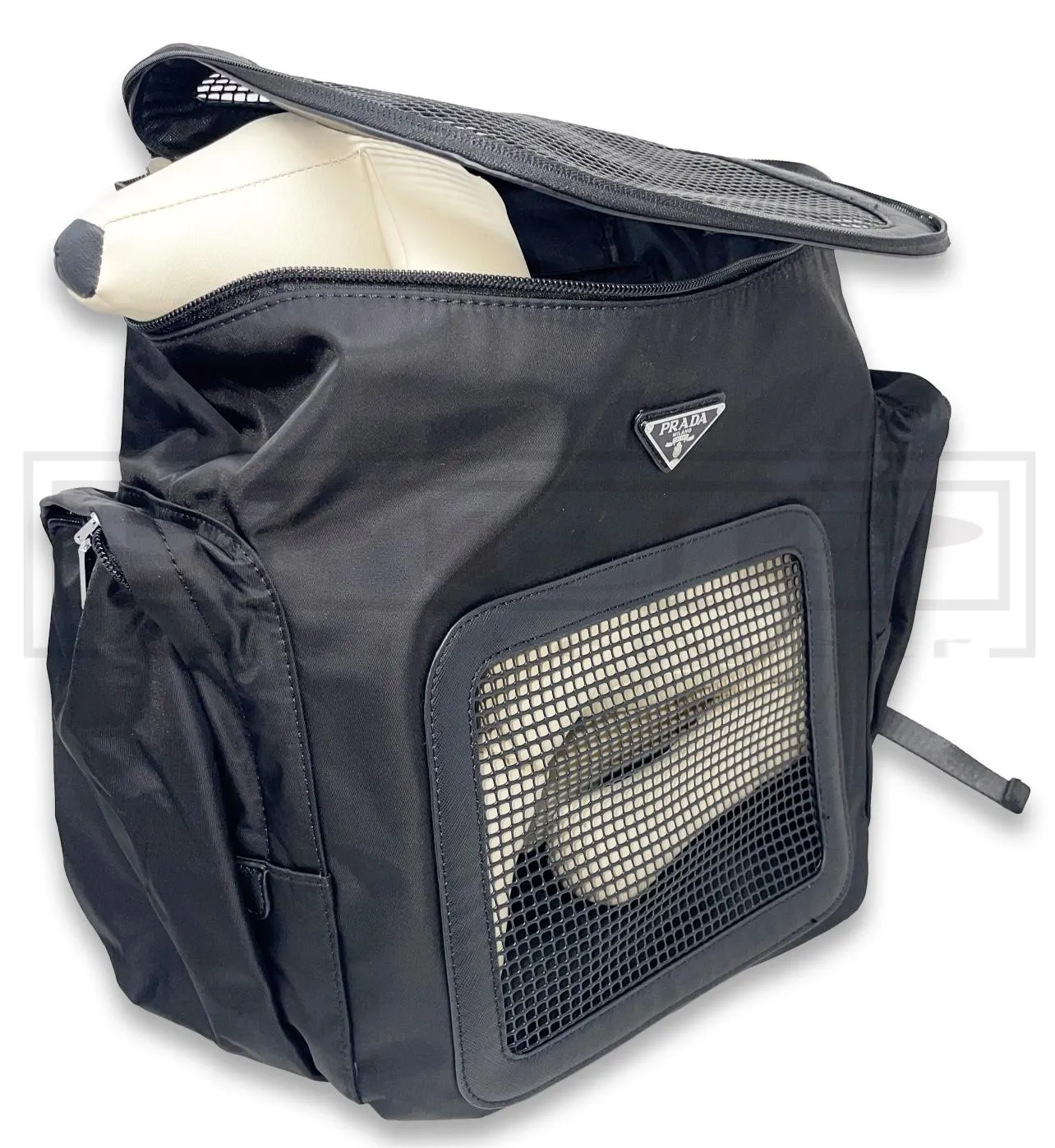 Pawda Backpack Carrier