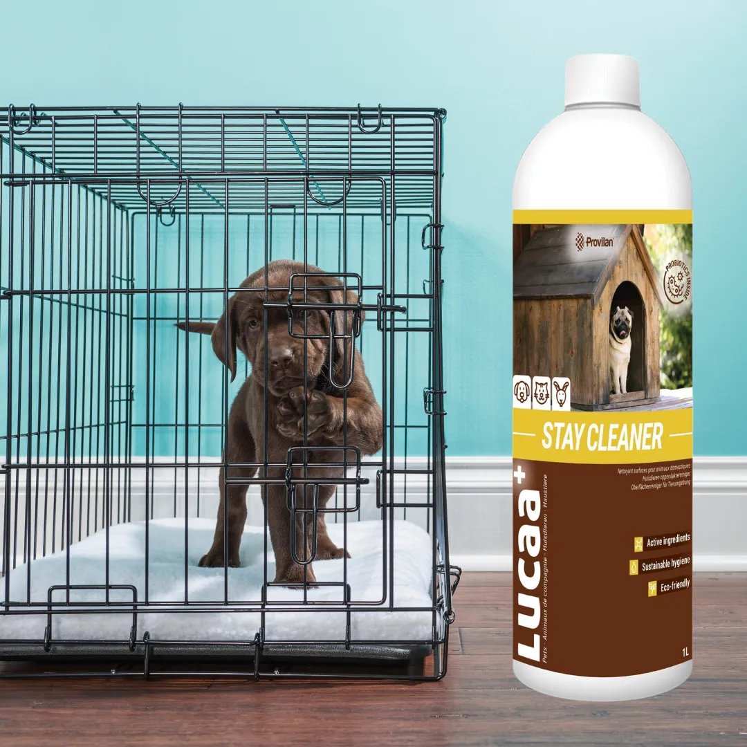 Probiotic Stay Kennel Cleaner (100:1 Concentrate) | Provilan Lucaa 