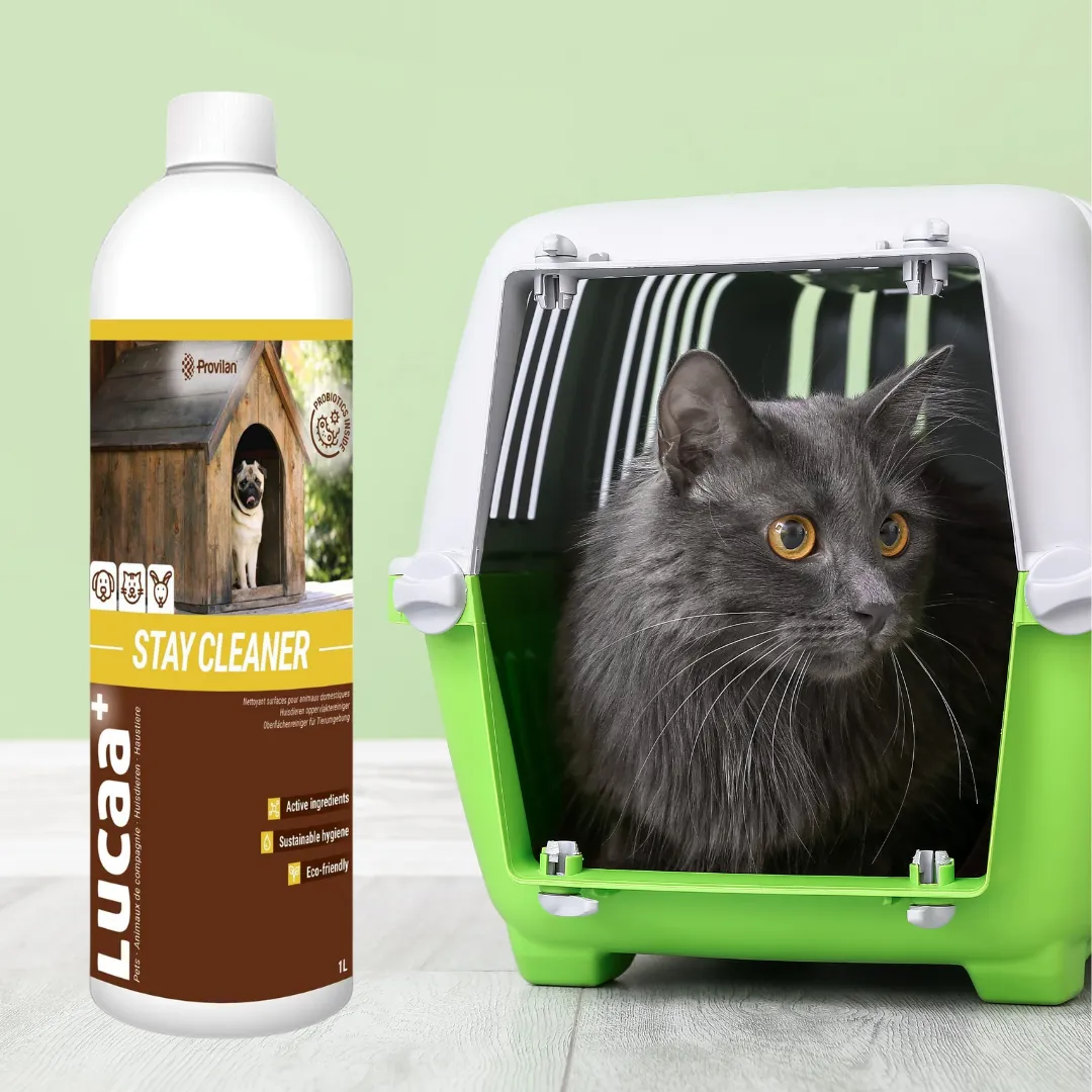 Probiotic Stay Kennel Cleaner (100:1 Concentrate) | Provilan Lucaa 