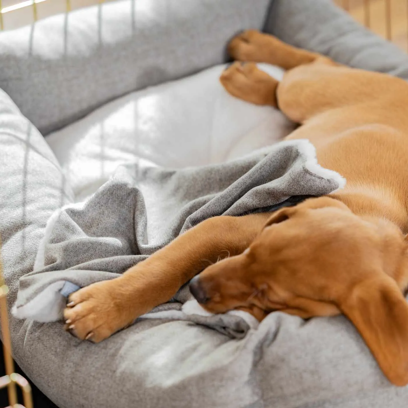 Puppy Scent Blanket in Inchmurrin Ground by Lords & Labradors