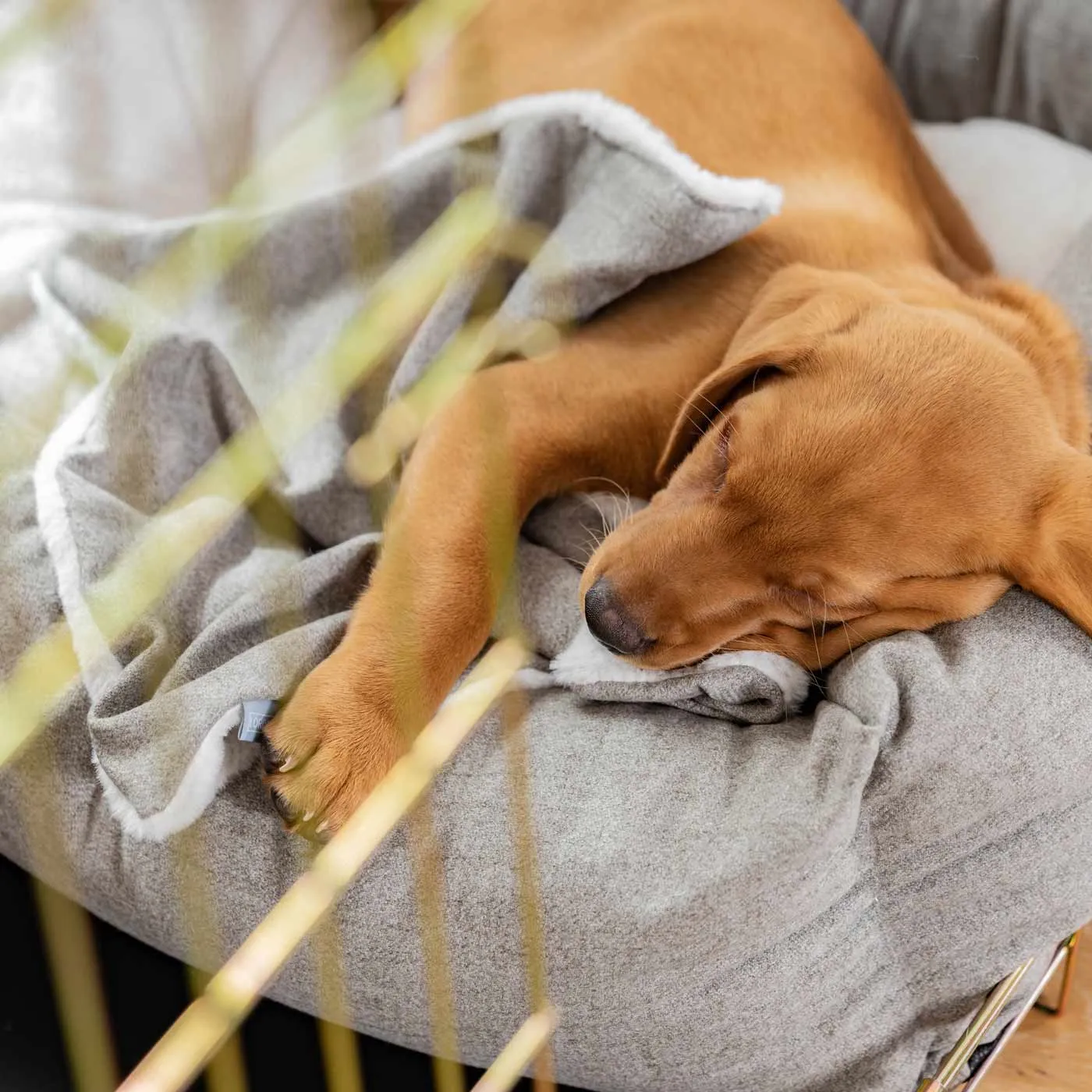 Puppy Scent Blanket in Inchmurrin Ground by Lords & Labradors