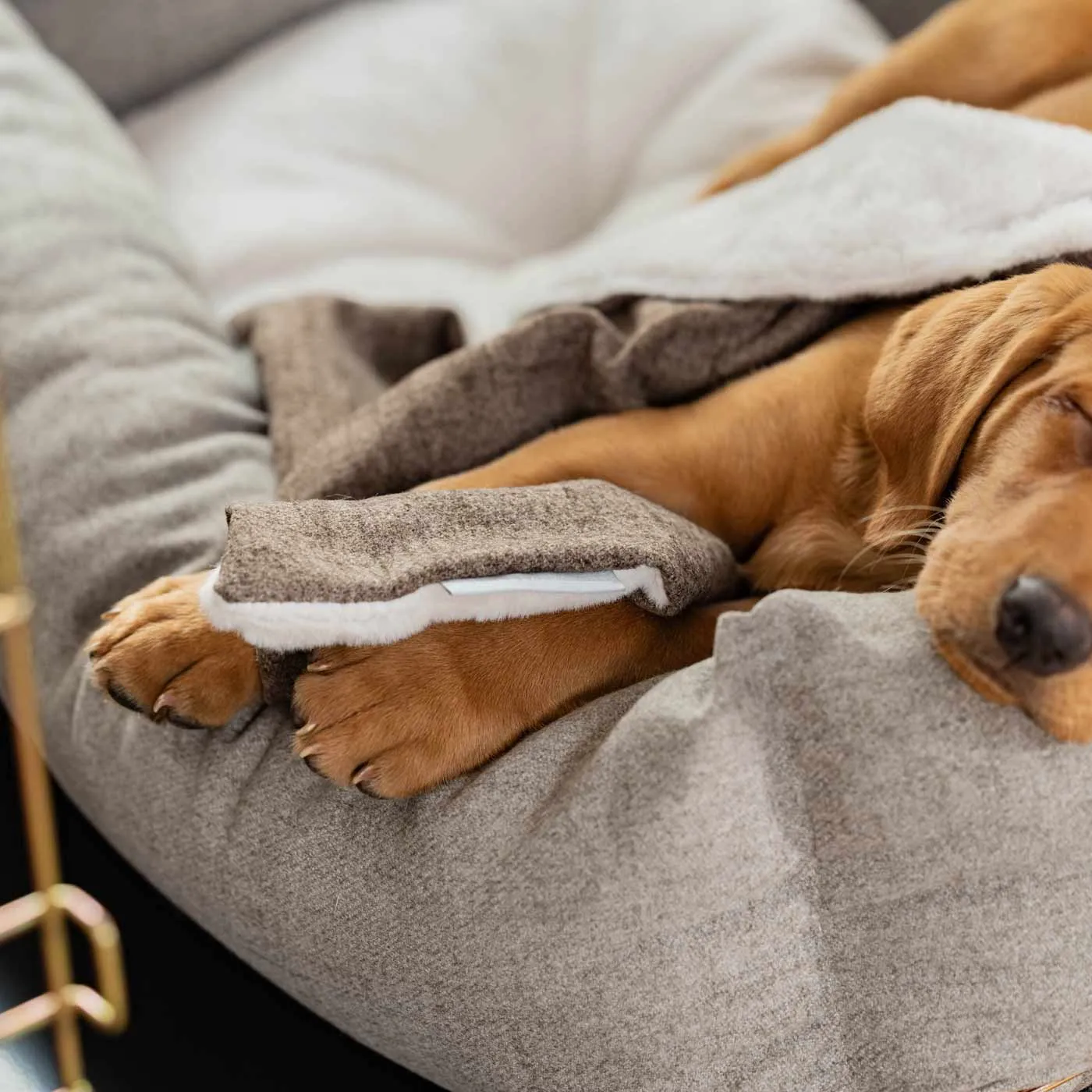 Puppy Scent Blanket in Inchmurrin Umber by Lords & Labradors