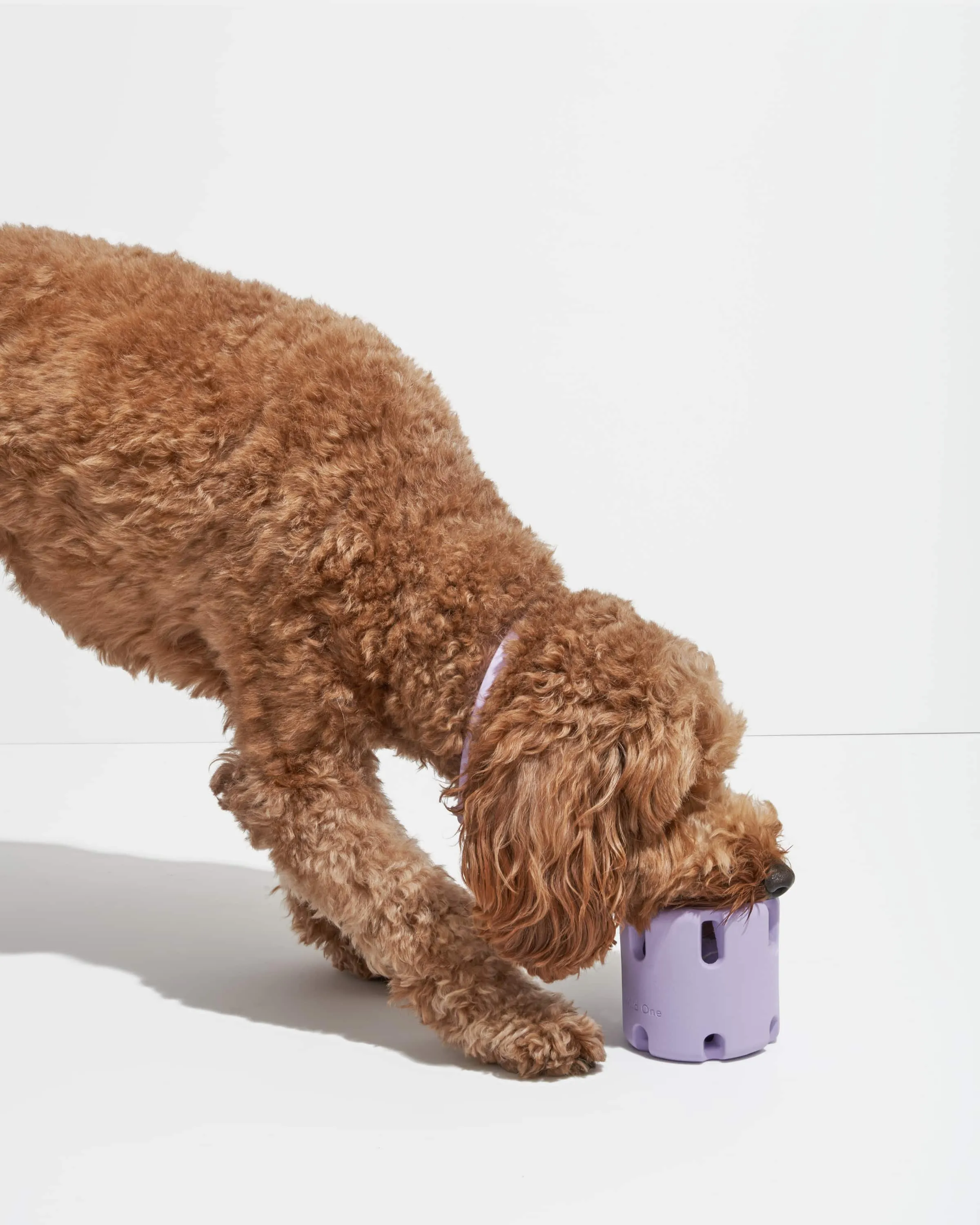 Tennis Tumble (Includes 1 Tennis Ball) - Lilac