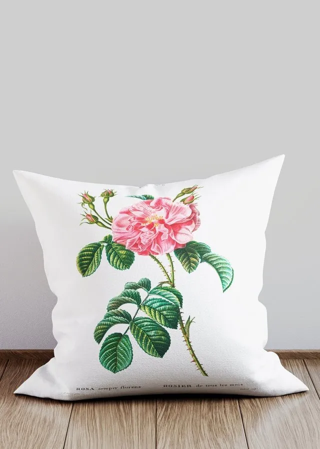 Vintage Thorny Rose Cushion