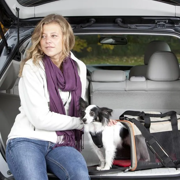 Wander Pet Carrier