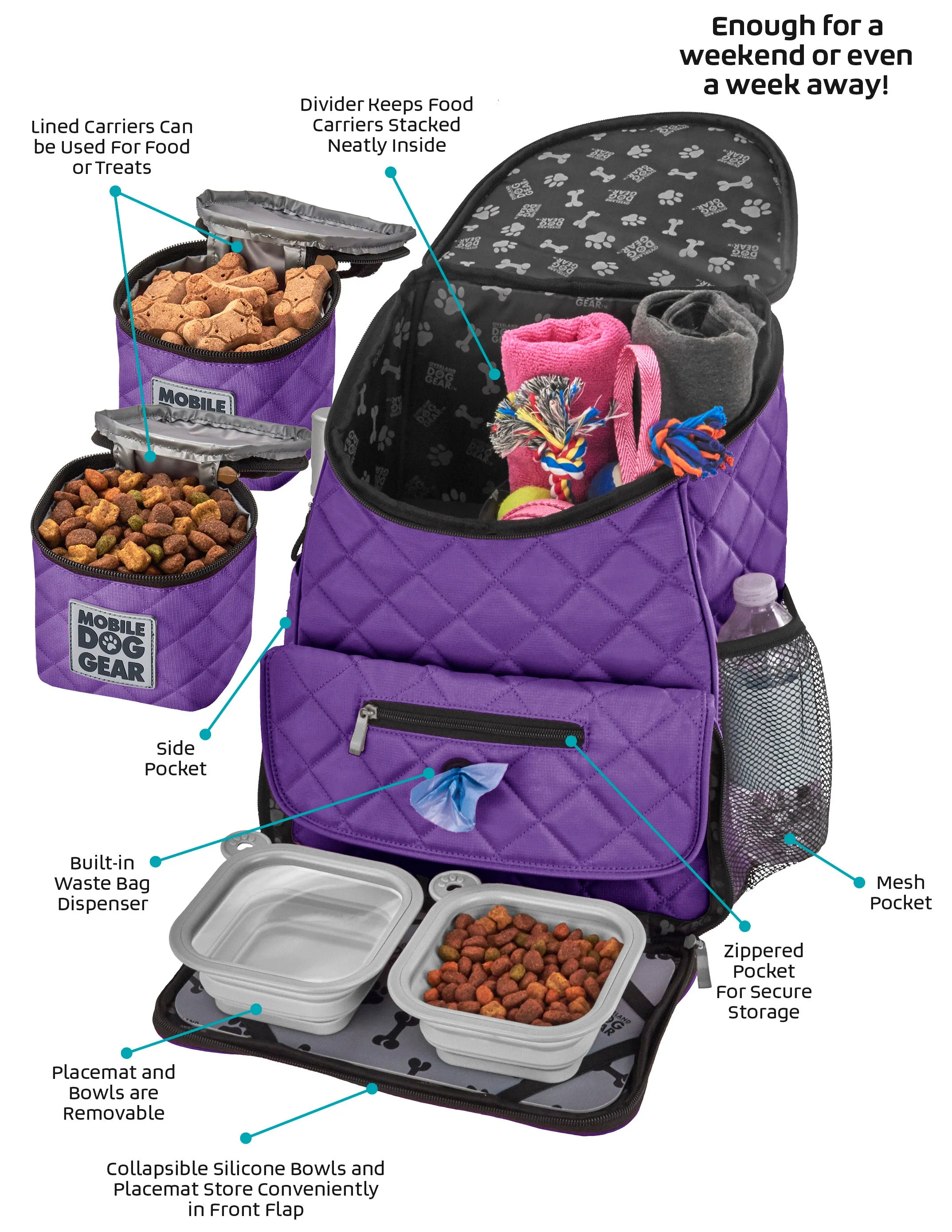 Weekender Backpack TM